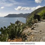 全面解析SETU学生门户:功能、优势与使用指南 0smrdpzn8l