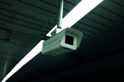 免费观看动漫的app有哪些：推荐几款热门且免费的动漫观看应用